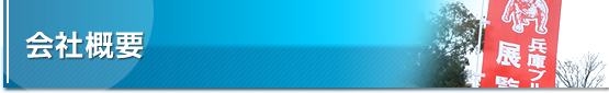 ЊTv